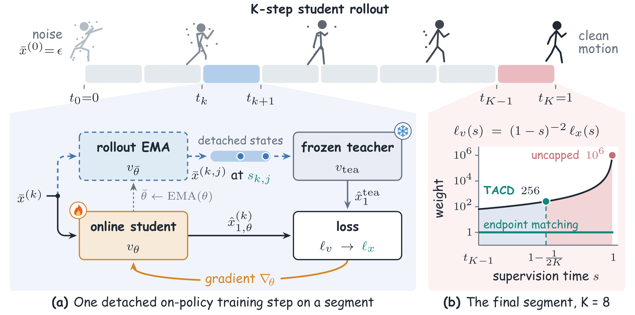 Diagram: a K-step student rollout; each segment is trained on detached student states against a frozen teacher; in the final segment the velocity loss weight grows as (1-s)^-2 and TACD caps it.